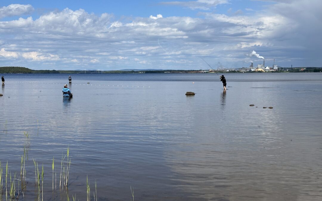 Inbjudan till Piteå Open 2025